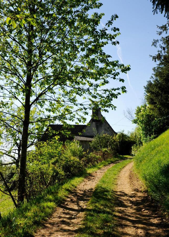 Le Bourmier Anlhiac Near Excideuil Villa Eksteriør billede