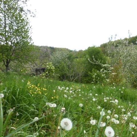Le Bourmier Anlhiac Near Excideuil Villa Eksteriør billede